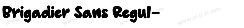 Brigadier Sans Regul字体转换